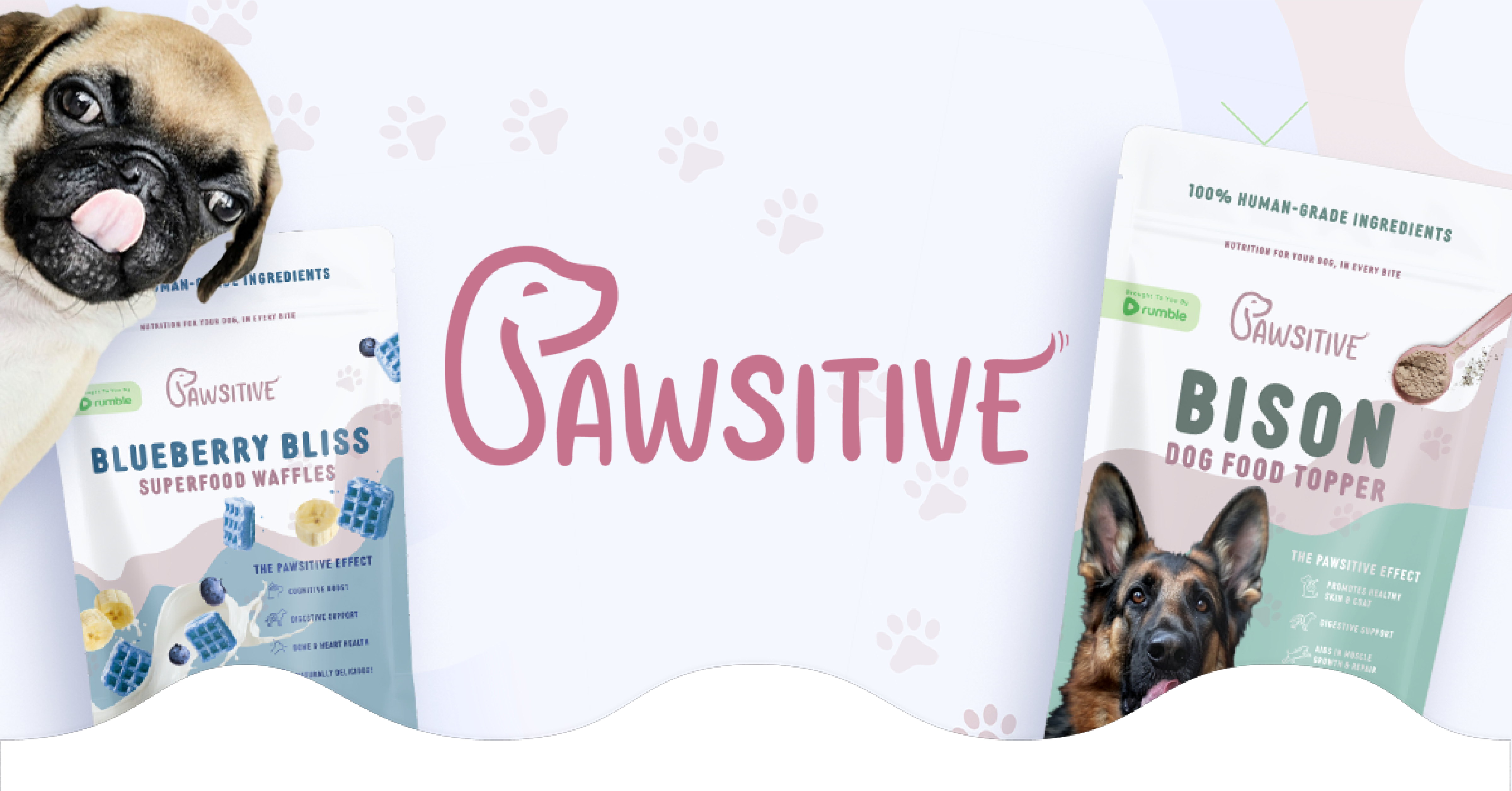 Premium Human-Grade Dog Treats & First Aid Kits | Shop Pawsitive