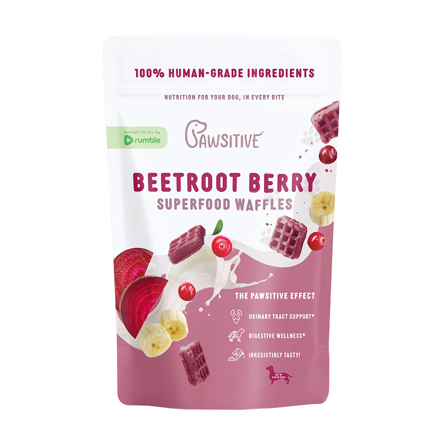 Superfood Snacks